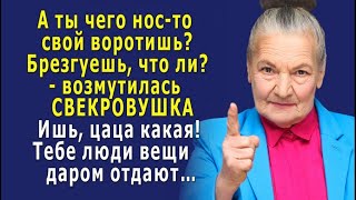 - Ты чего нос воротишь? Брезгуешь? - возмутилась свекровь, - Тебе люди вещи даром отдают…