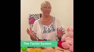 What is the Tactile System #sensoryintegration #sensoryneeds #sensory