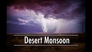 Desert Rain  Monsoons of the Sonoran Desert