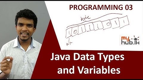 PROGRAMMING 03 : Java Data Types and Variables