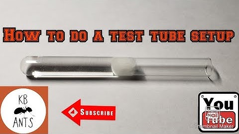 How to do a test tube setup for new Queen Ants