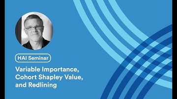 Art Owen: Variable Importance, Cohort Shapley Value, and Redlining