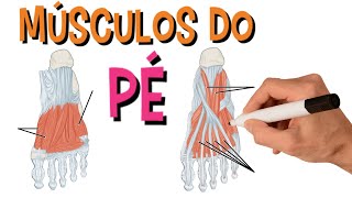 Músculos Do Pé - Sistema Muscular | Anatomia