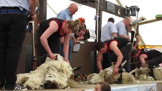 Lochearnhead Shears 2019 Kelly & Ben