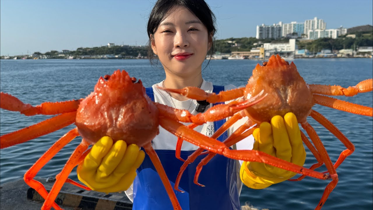 당일바리 활 홍게 1마리 3천원대