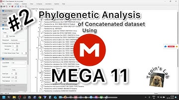 #2 MEGA 11 - Phylogenetic analysis of combined sequences (Tutorial)