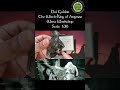 Dol Guldur - The Witch-King of Angmar - #wetaworkshop Review