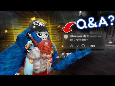 So, I did a Q&A