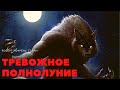 ТРЕВОЖНОЕ ПОЛНОЛУНИЕ ЧАСТЬ 3 . Читает - Серёга Денисов