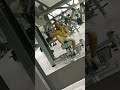 Buna dimineața la toată lumea🖐️🙂#motivation #gym💪👈💣