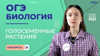 Отдел Голосеменные растения. Биология ОГЭ.