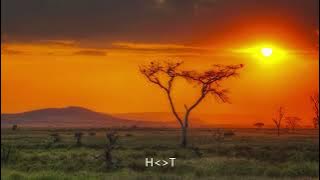 Afro Brotherz - 3 Drops (Original Mix)