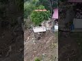 Apo lake view deck #amazing #nature #love #music #enjoy #travel #funny #video #automobile #views