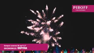 Фортуна GHC04036125 2014 г 41