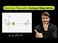 Ejercicio Campo Magnético Física Ballierato Universidad (Fuerza de Lorentz en un hilo de corriente)