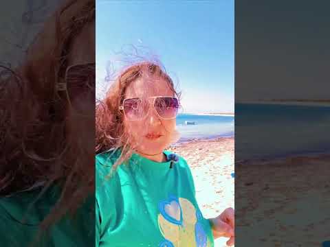 حسة اني مش مضطرة بجد نوبيع جنه علي ارض مصر