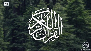 قرآن كريم بصوت ماهر المعيقلي | حالات واتس اب دينية - سورة التغابن