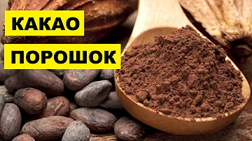 Производство какао порошка как бизнес идея