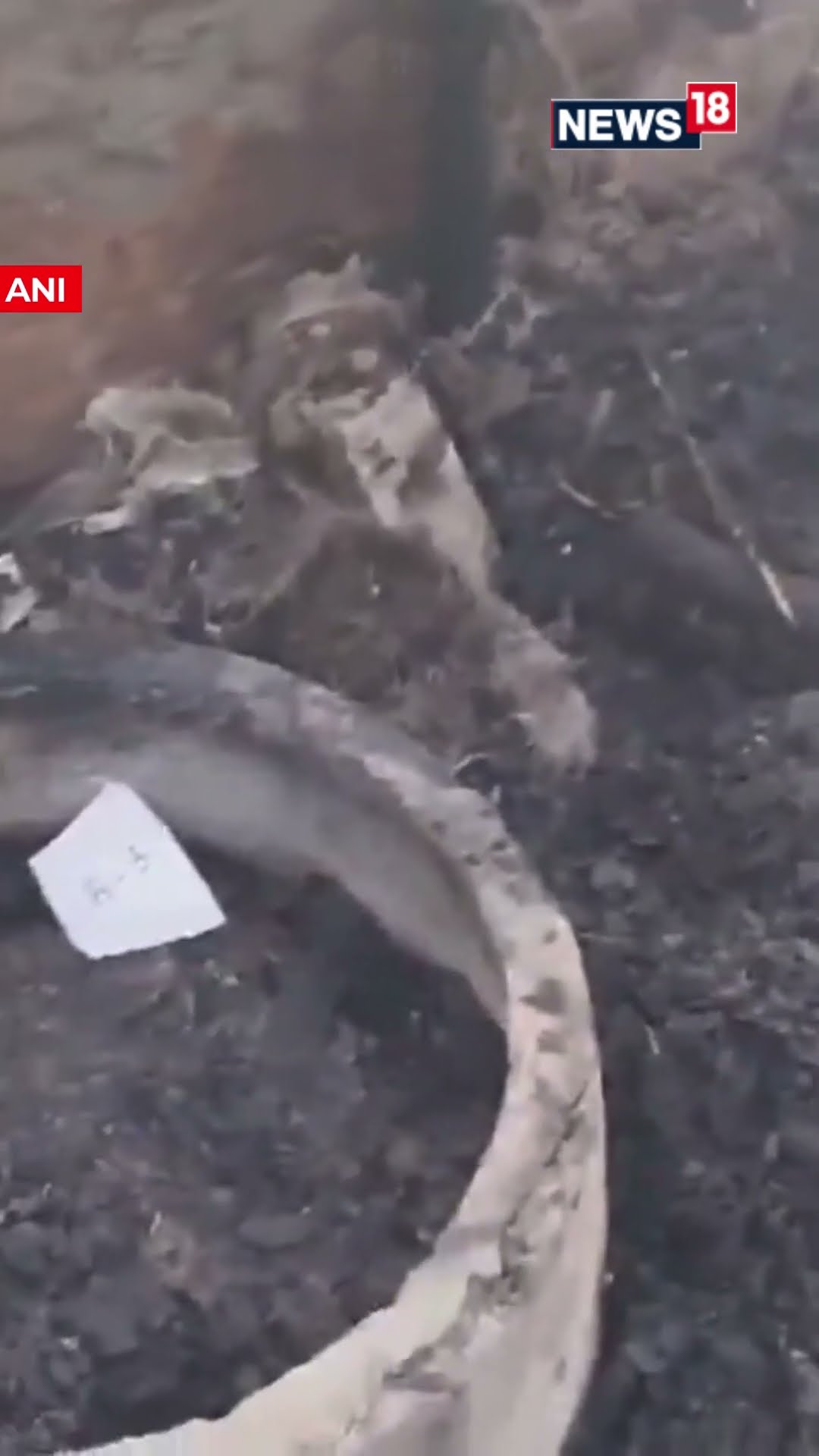 Tragic Fire Breaks Out in Delhi's Anand Vihar Slum, Claiming Three Lives | N18S #Shorts #newsupdate