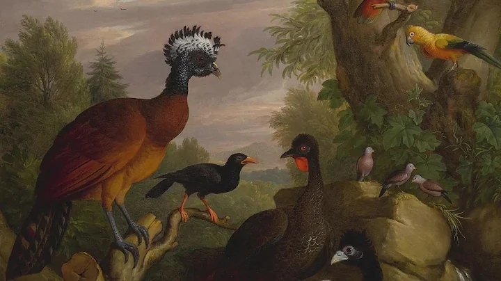 The Wonderful Birds of Mrs. John L. Marion