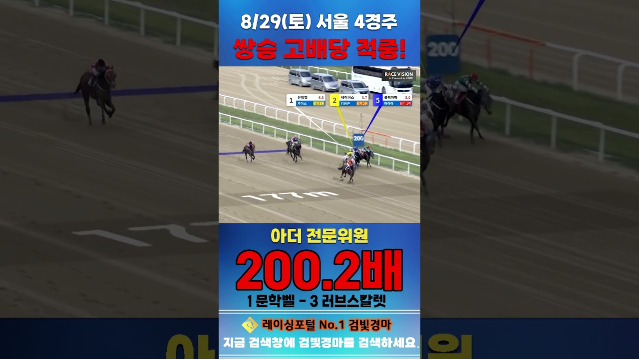 [서울 경마] 8월 29일 토요 4경주 아더 전문위원 쌍승 고배당 적중 #경마 #automobile #한국마사회 #horse #하이라이트 #korean #비트코인 #게임 #뉴스