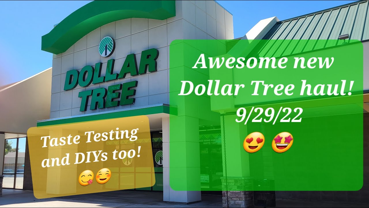 New Dollar Tree haul! New items, food items, and a couple of DIYs! W😮W