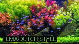 cara bikin aquascape tema Dutch style. tanpa co 2