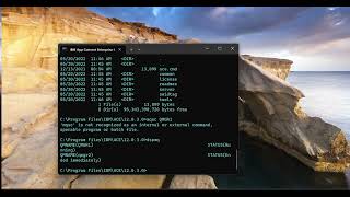 2 IIB IBM MQ Parser Options IBM Input MQ MQ Output Node
