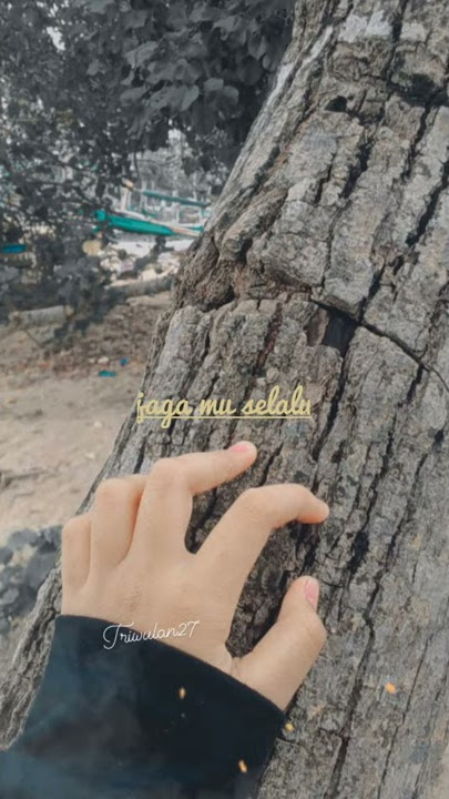 Story wa dari judul lagu sampai ke hari tua