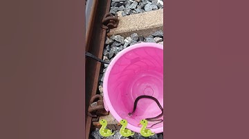 🐍నాగు పాము🐍 పిల్లలా ఉందే 🐍#viralvideo #snake #youtube #shortsfeed #trending #video #shorts#subscribe