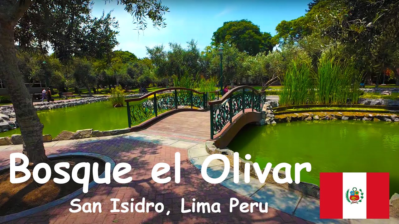 Bosque el Olivar, San Isidro Lima Peru