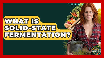 What Is Solid-state Fermentation? - The World of Agriculture