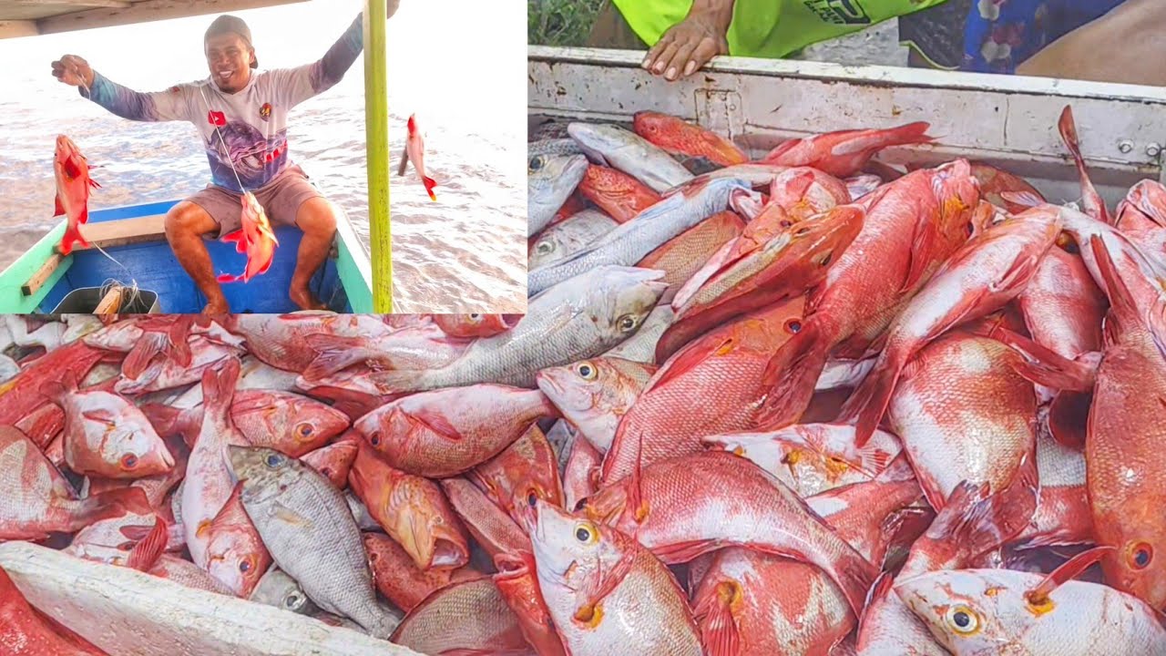 PUL STRIKE IKAN KAKAP || MOBIL PICK UP HAMPIR RATA BAK