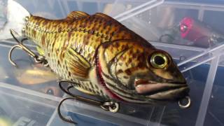 Welcome to Lucky Lure Box Ltd