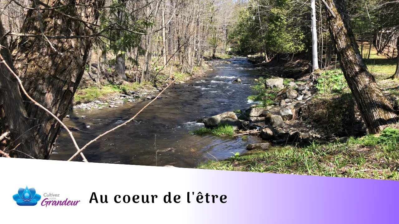 Au coeur de l'être | Méditation guidée | Paul Beaudry