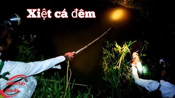 Xiệt cá lóc và cá trê kiếm ăn qua ngày | miền tây dân dã | # 95