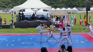 Kukkiwon Taekwondo Demonstration Team (Pine board breaking & kicking techniques)