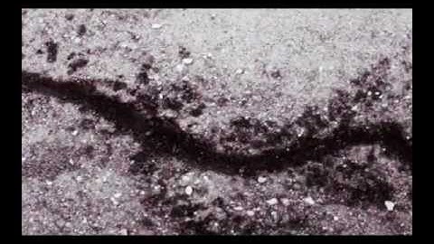 ZIGZAG - Song Of The Wave [Official Music Video]