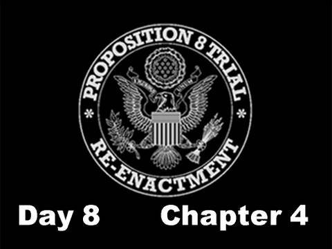 Prop 8 Trial Re-enactment, Day 8 Chapter 4