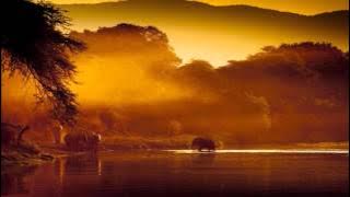 Afrikan Roots Feat. Buckz - Ko Morago