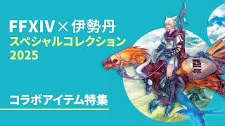 FINAL FANTASY XIVの配信のサムネイル画像