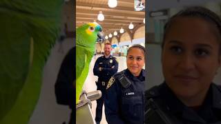Funny Parrot Bold Statement On Officer 😂 #talkingparrot #funny