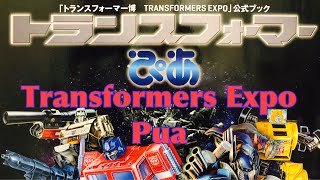 Transformers Expo Pua Visual Guide