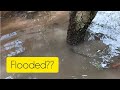 UNBELIEVABLE!! Our Countryside Home Flooded after the RAINS 🌧 😭😭
