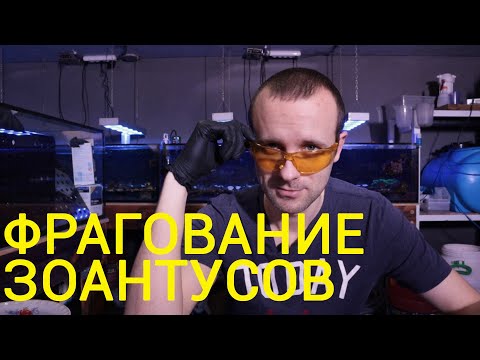 Video: Ako Si Vyrobiť Krabie Občerstvenie Rafaello