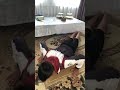 ÐŸÐžÐ§Ð•ÐœÐ£?