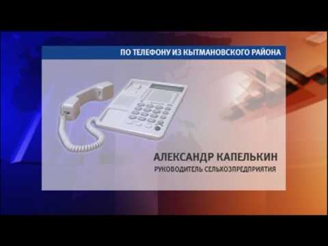Александр Капелькин, руководитель сельхозпредприятия