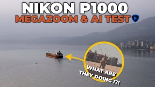 Nikon Coolpix P1000: Zoom & Topaz Video AI Test screenshot 4