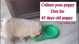 Culture pom puppy Diet for 45 days  to 3 months old puppy(2nd Diet)