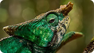 картинка: ▽ Невероятная природа планеты Земля